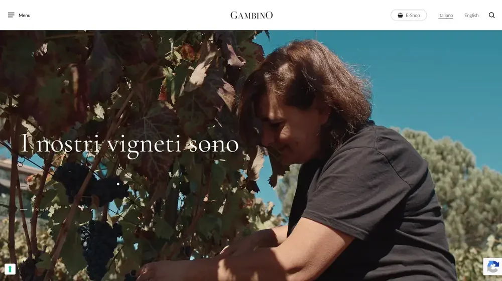 Vini Gambino